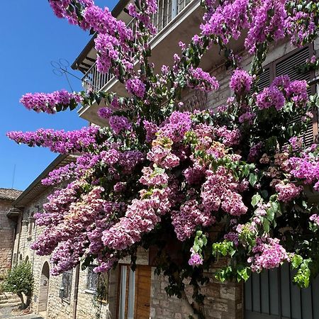 La Bouganville Assisi Dış mekan fotoğraf