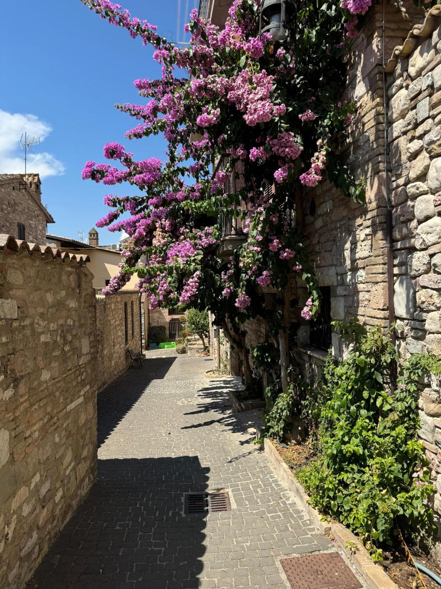 La Bouganville Assisi Dış mekan fotoğraf